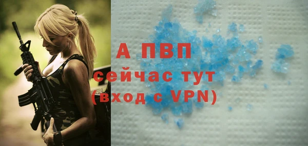 PSILOCYBIN Белоозёрский
