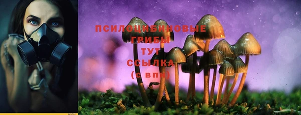 трава Беломорск