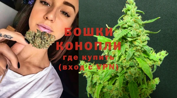 трава Беломорск
