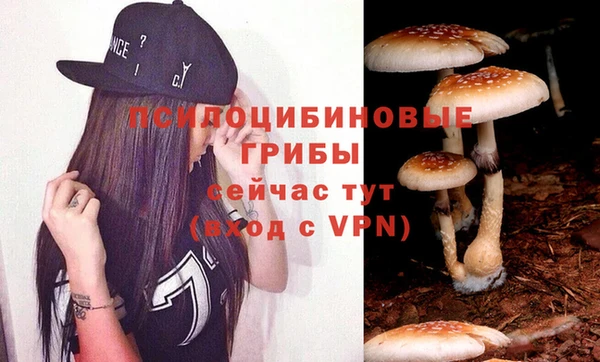 трава Беломорск